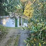 Romana * Massaciuccoli
