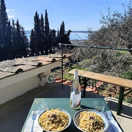 Romana Massaciuccoli