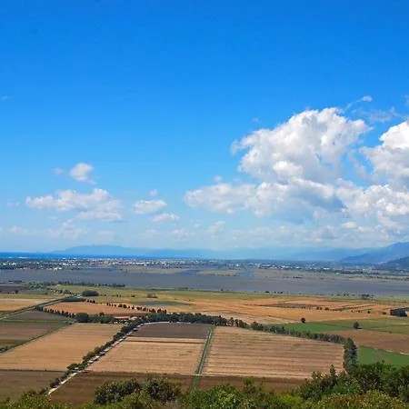 Romana