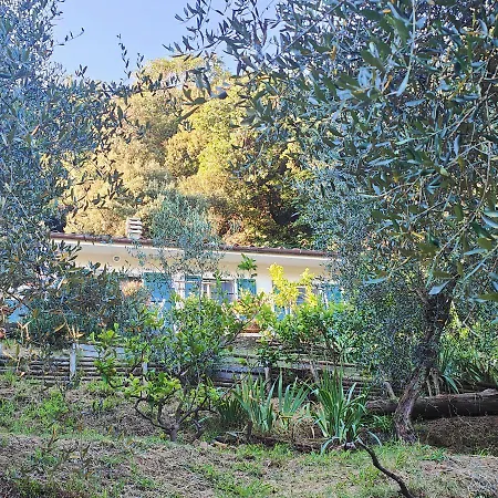Romana Σπίτι διακοπών