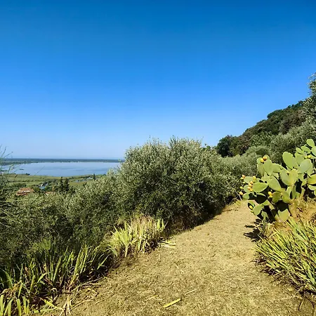 Σπίτι διακοπών Romana