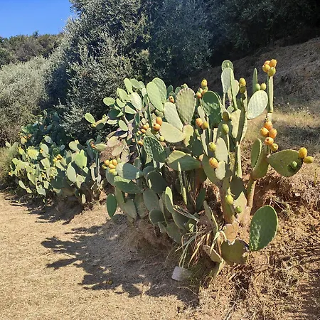 Romana Σπίτι διακοπών *