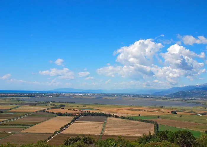 Romana