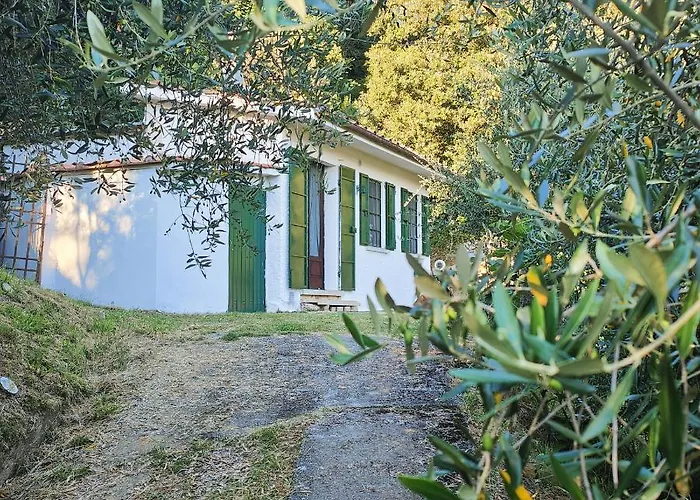 Romana * Massaciuccoli