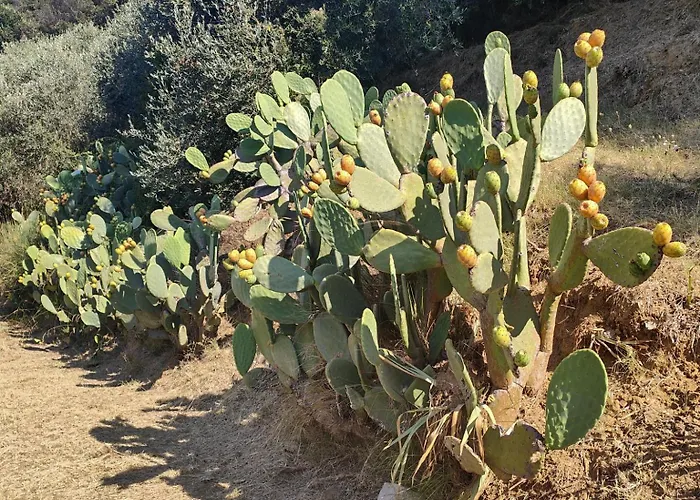 Romana Hébergement de vacances *