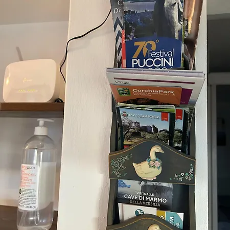 Prázdninový dům Romana *